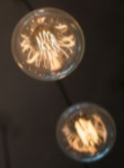 Decorative Lighting